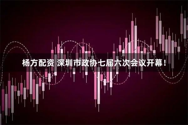 杨方配资 深圳市政协七届六次会议开幕！