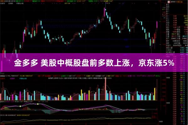 金多多 美股中概股盘前多数上涨，京东涨5%