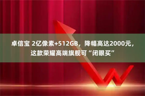 卓信宝 2亿像素+512GB，降幅高达2000元，这款荣耀高端旗舰可“闭眼买”
